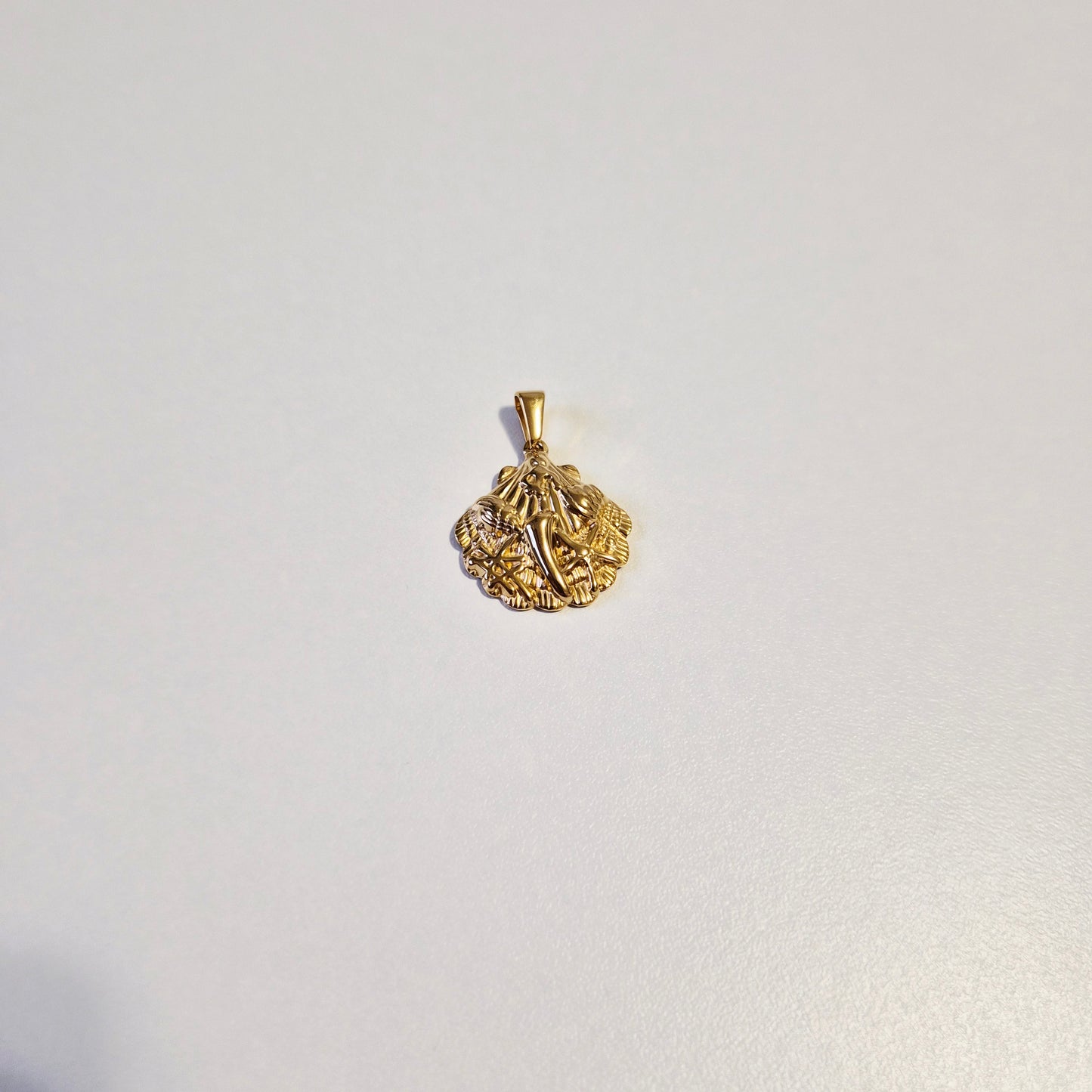 Sea Shell