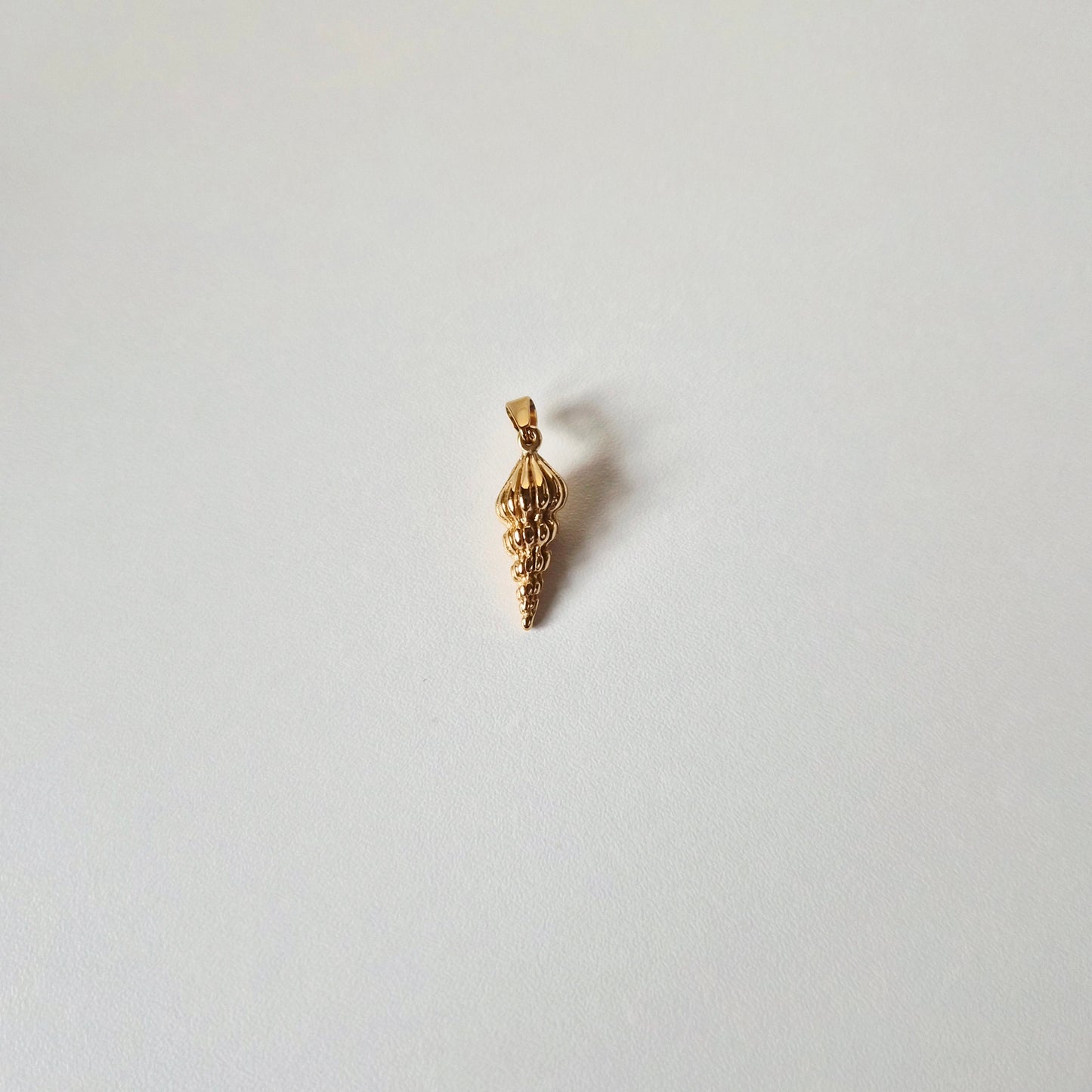 Ocean Spiral Seashell