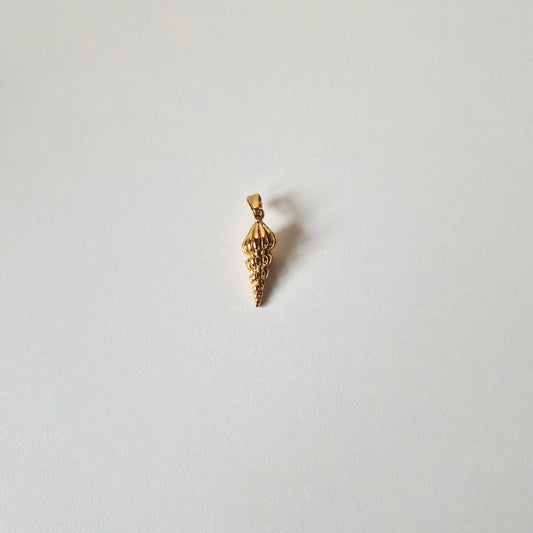 Ocean Spiral Seashell