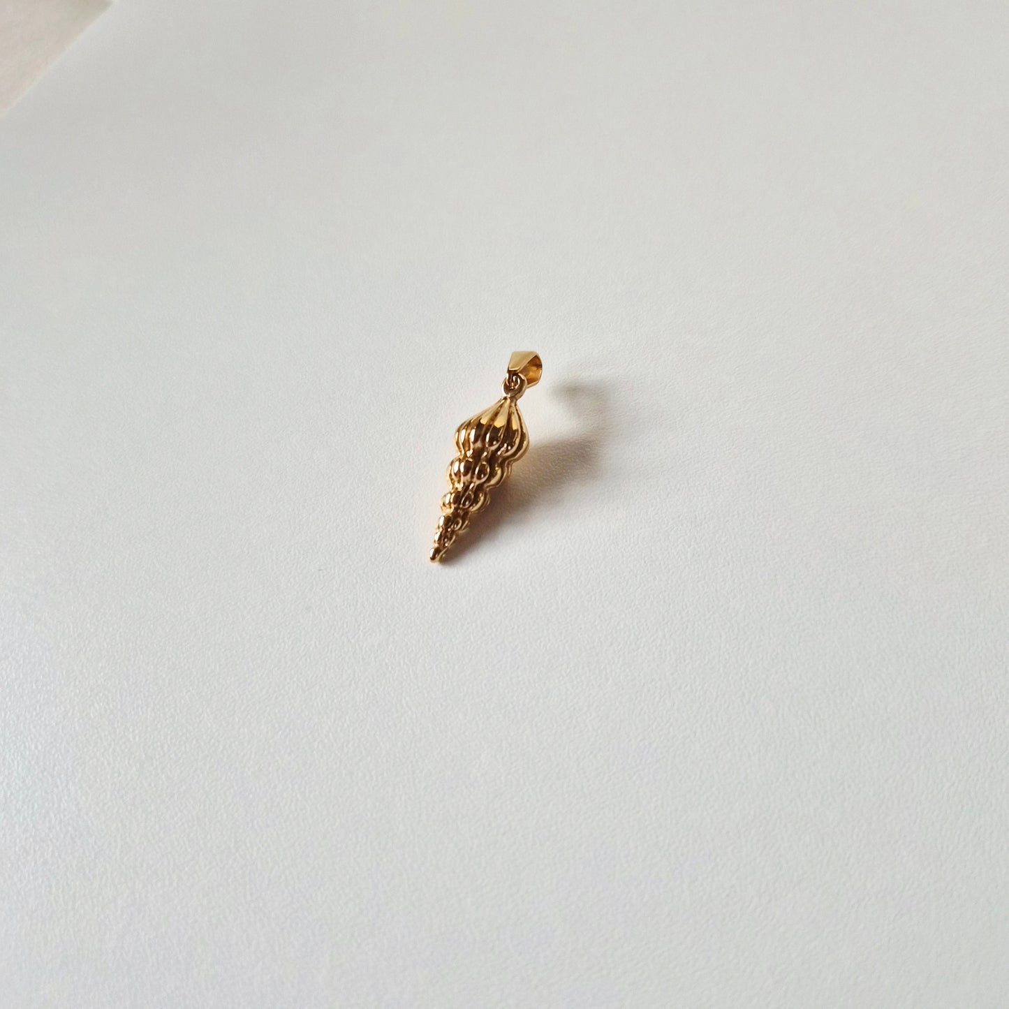 Ocean Spiral Seashell